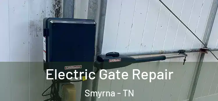 Electric Gate Repair Smyrna - TN
