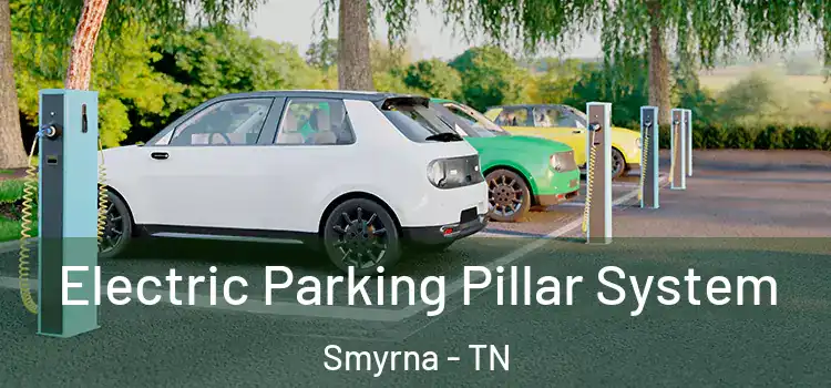 Electric Parking Pillar System Smyrna - TN