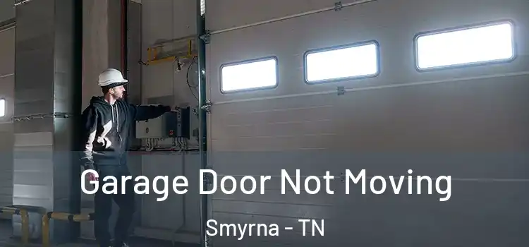  Garage Door Not Moving Smyrna - TN