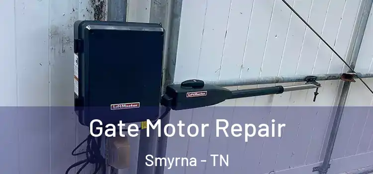 Gate Motor Repair Smyrna - TN