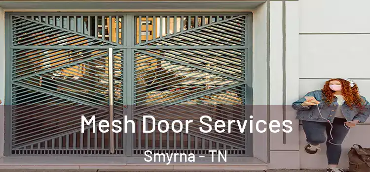 Mesh Door Services Smyrna - TN