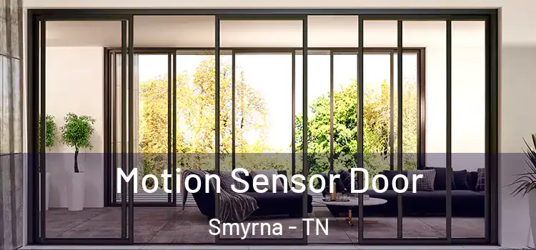 Motion Sensor Door Smyrna - TN